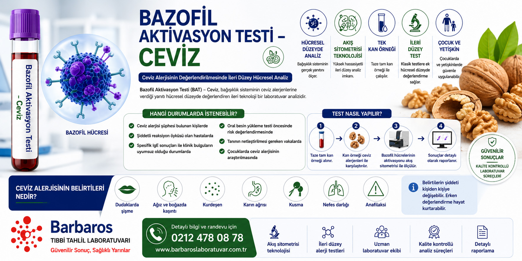 Bazofil Aktivasyon Testi – Ceviz