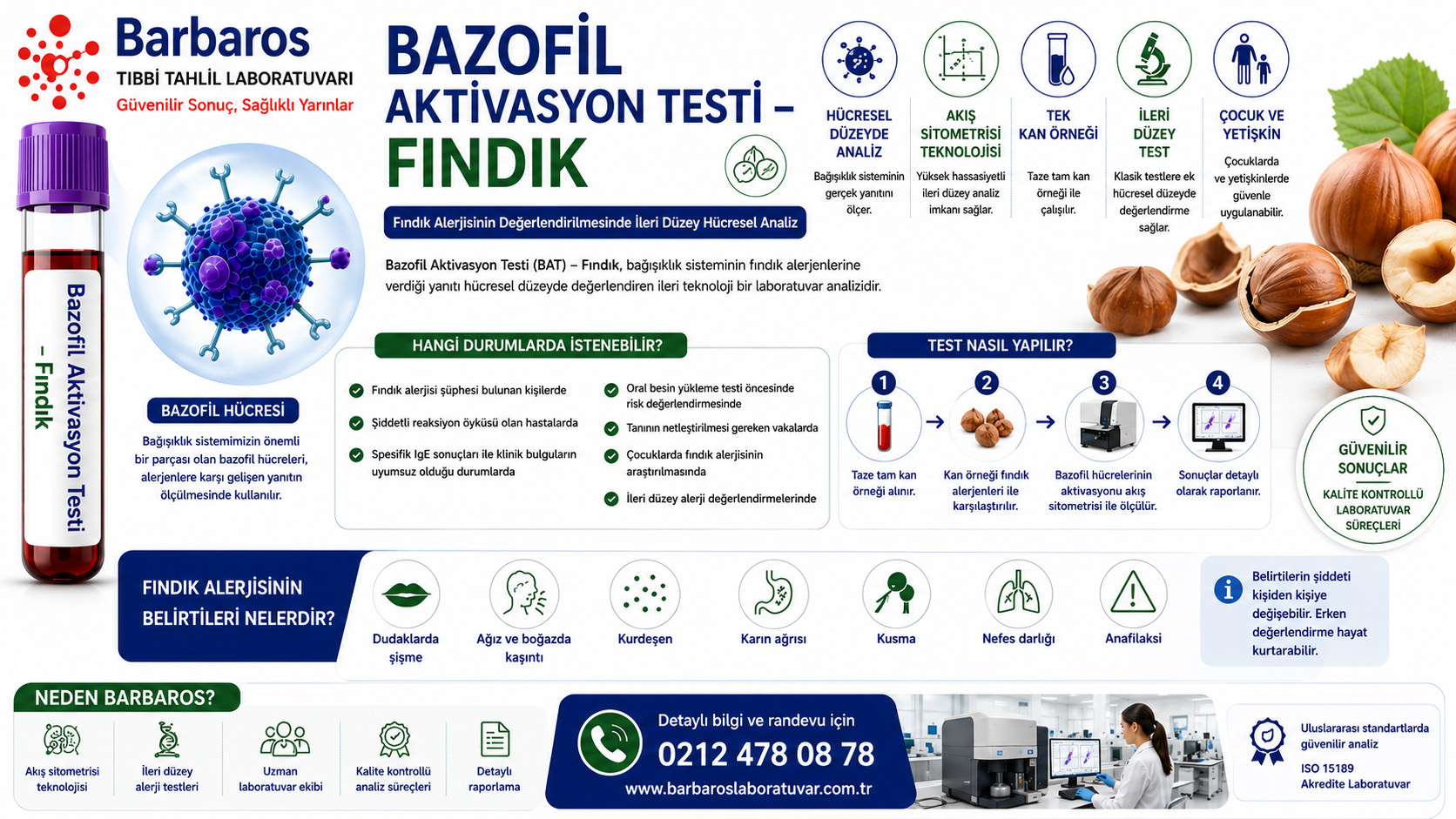 Bazofil Aktivasyon Testi – Fındık