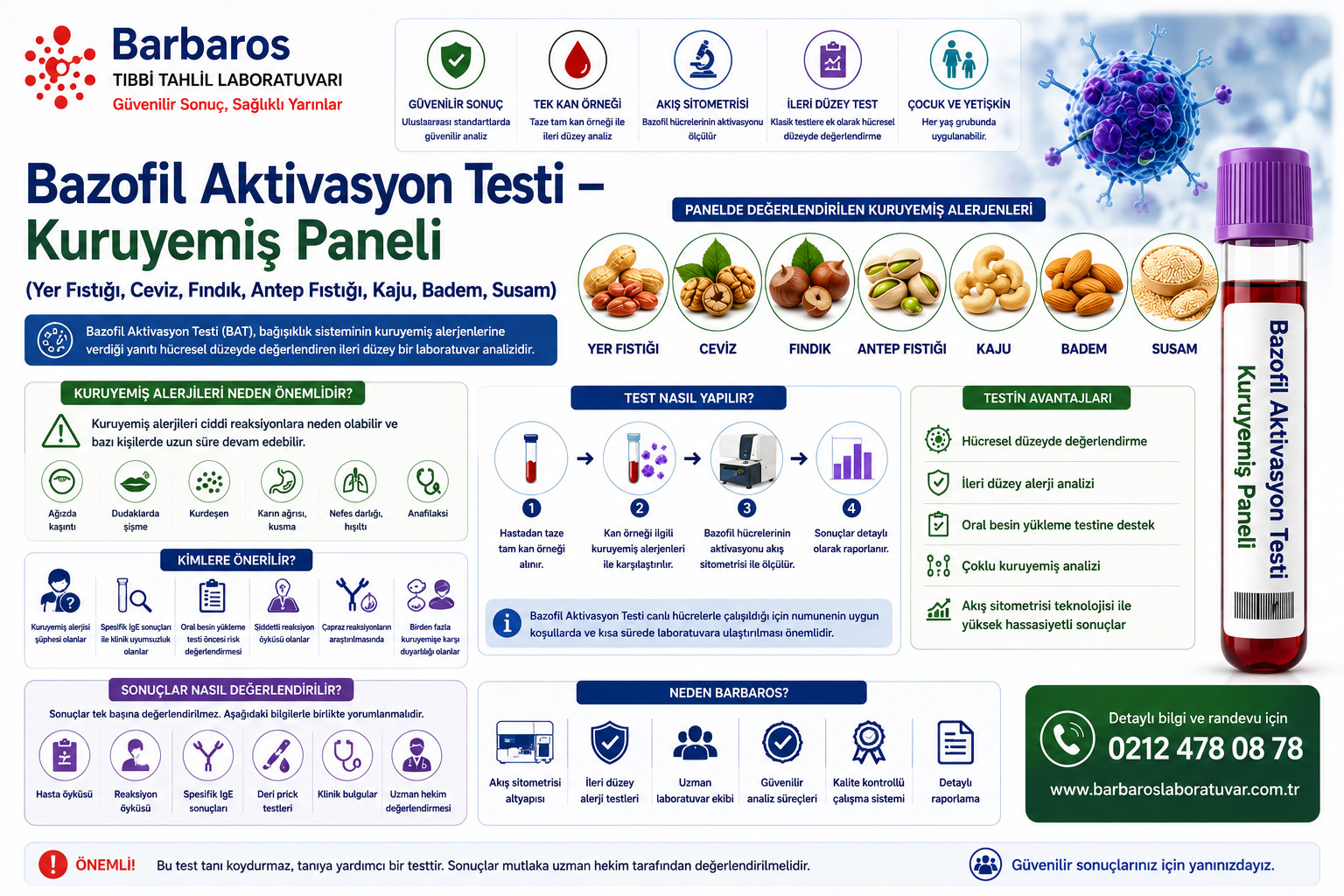 Bazofil Aktivasyon Testi – Kuruyemiş Paneli