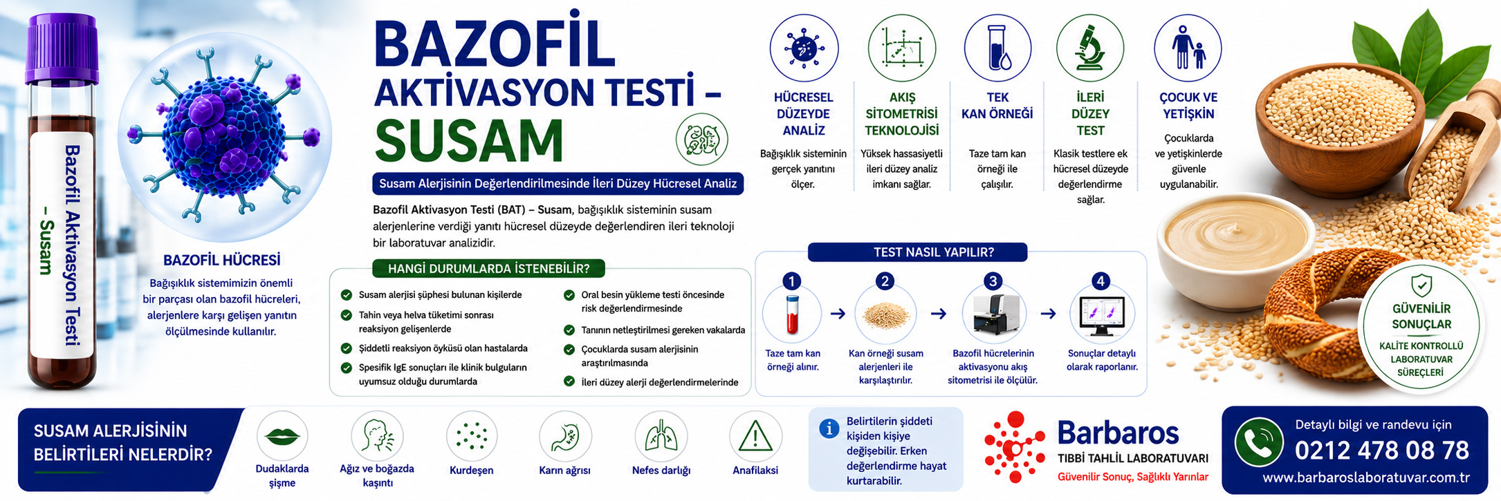 Bazofil Aktivasyon Testi – Susam