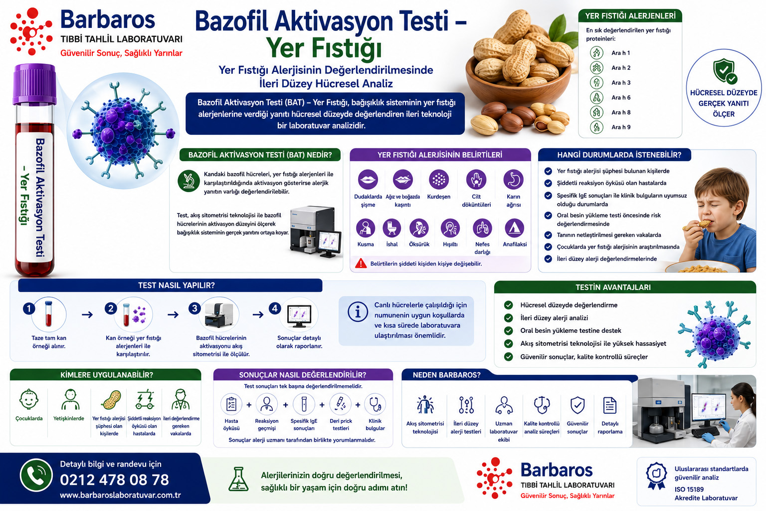 Bazofil Aktivasyon Testi – Yer Fıstığı